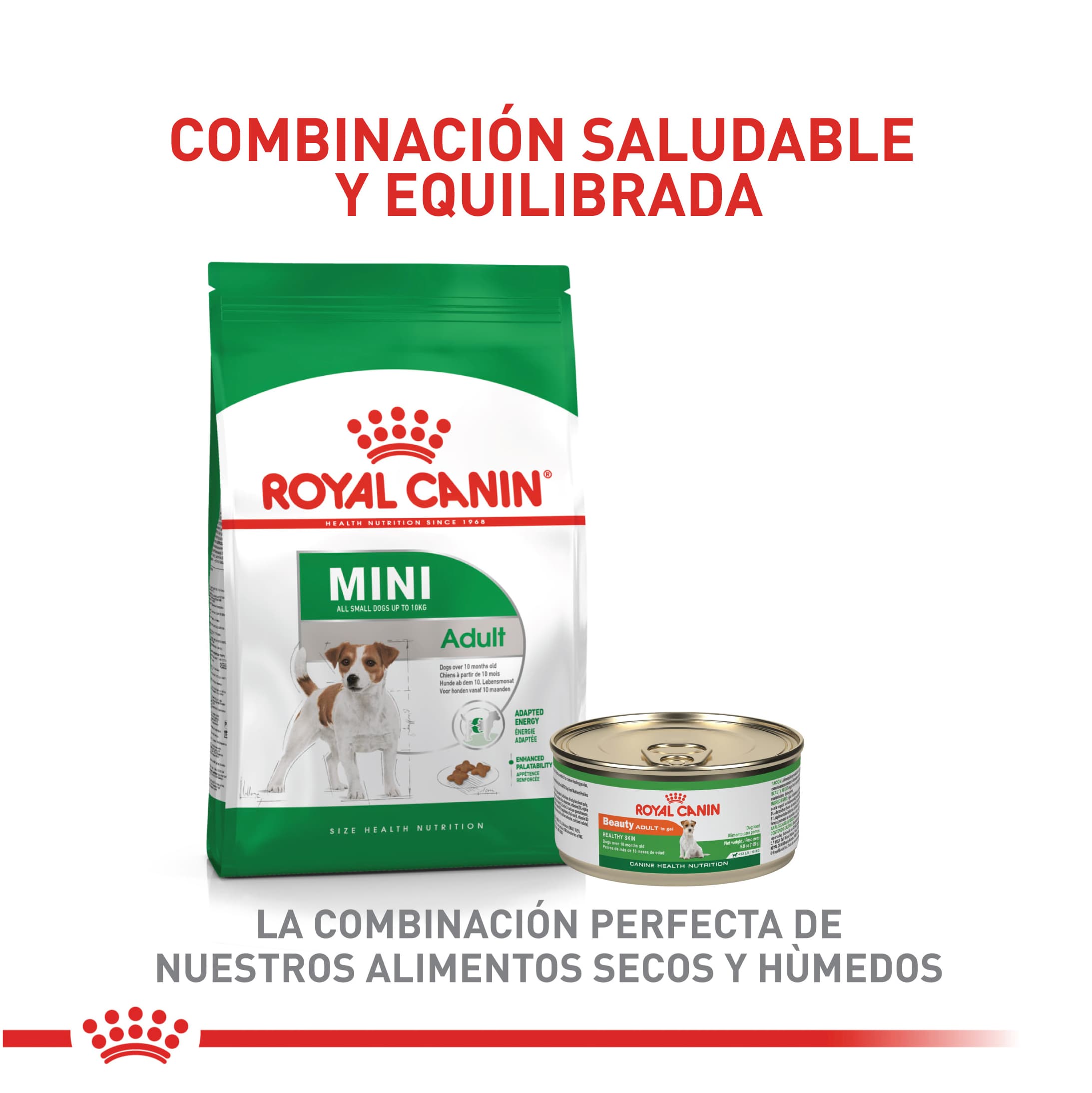 460_62329_Royal_Canin_Mini_Adulto_1616619991_2186x2187.jpg
