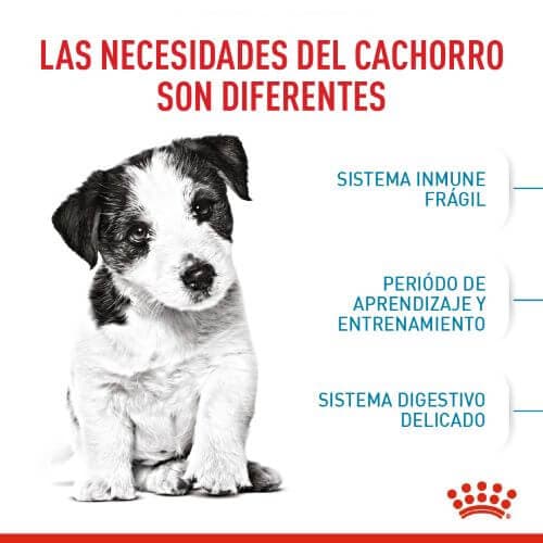 528_173867_Royal_Canin_Mini_Puppy_1658782098_500x500.jpg