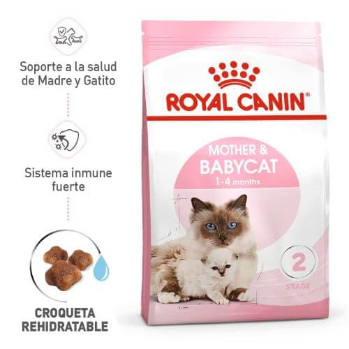 3779_173389_Royal_Canine____Primera_Edad__Mother_And_Baby_Cat__1658770408_500x500.jpg