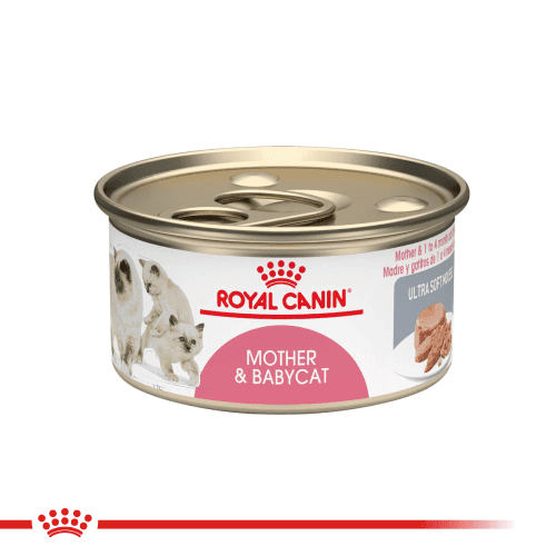 78522_Royal_Canin___Lata_Mother_babycat_1652284220_0_500x500.png